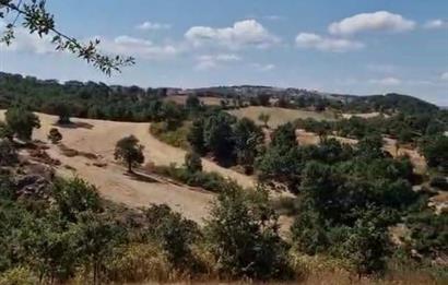 balıkesır ıvrındı tarla