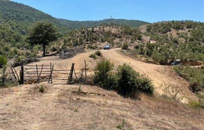balıkesır ıvrındı tarla