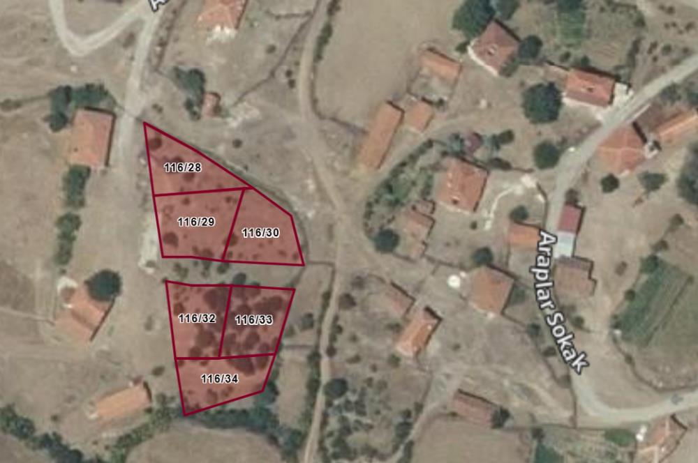 CENTURY21 BAL'DAN KEPSUT DANAHİSAR DA SATILIK VİLLA ARSASI