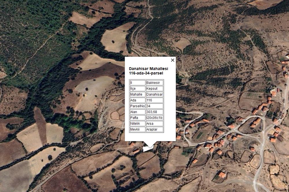 CENTURY21 BAL'DAN KEPSUT DANAHİSAR DA SATILIK VİLLA ARSASI