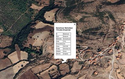 CENTURY21 BAL'DAN KEPSUT DANAHİSAR DA SATILIK VİLLA ARSASI