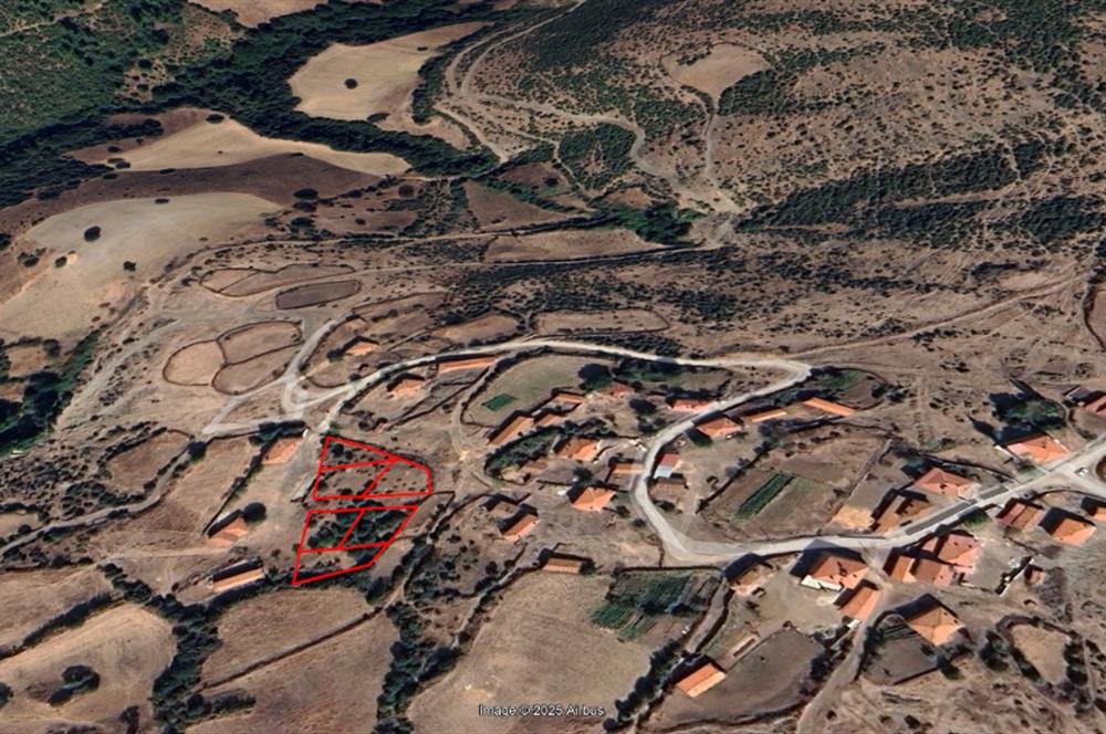 CENTURY21 BAL'DAN KEPSUT DANAHİSAR DA SATILIK VİLLA ARSASI