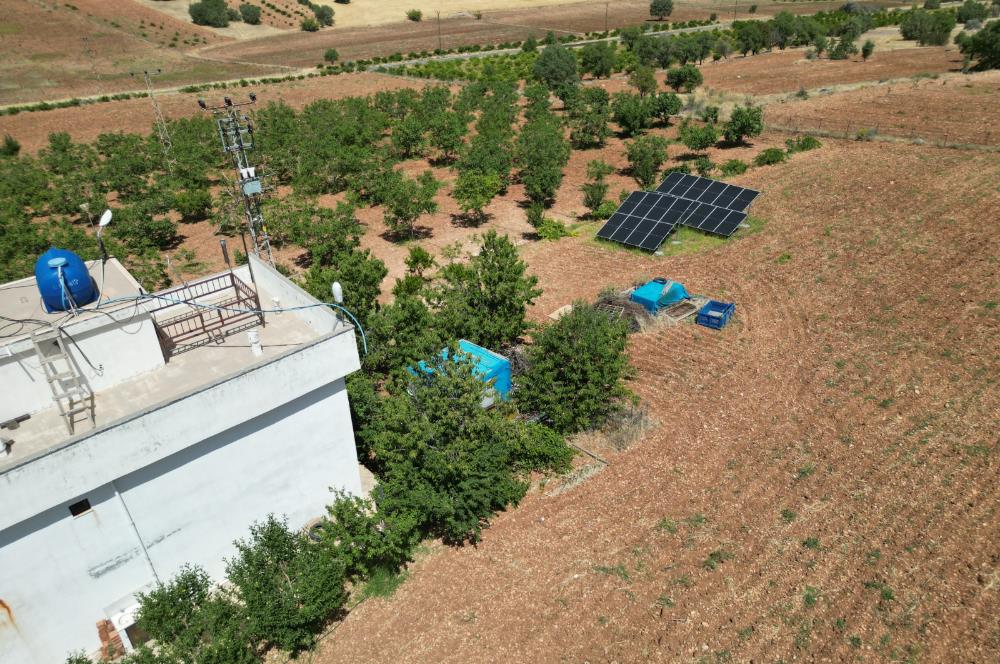 GERCUŞ KOZLU KÖYÜ YOLUNDA SATILIK CEVİZ VE FISTIK BAHÇESİ