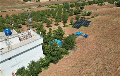 GERCUŞ KOZLU KÖYÜ YOLUNDA SATILIK CEVİZ VE FISTIK BAHÇESİ