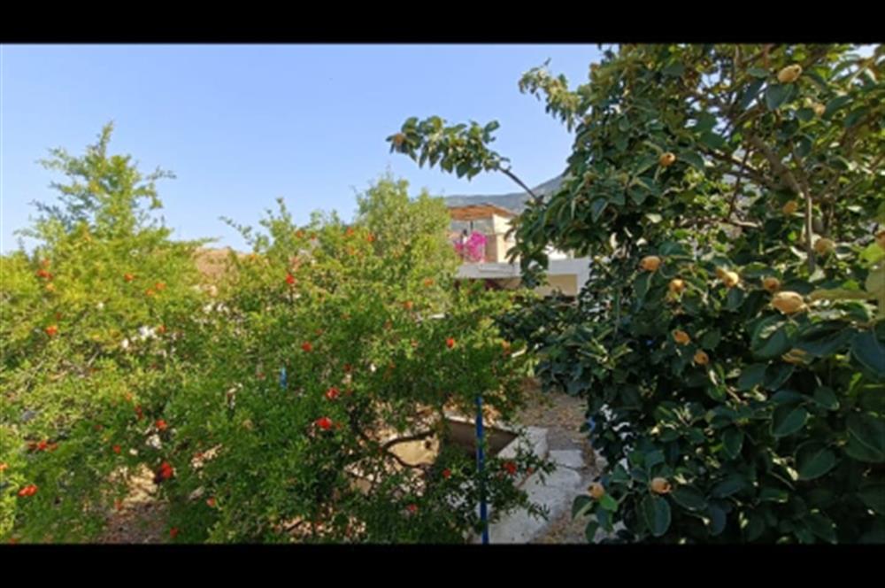 Datça Çeşmeköyde 310 m2 Arsa İçinde 2 adet Müstakil Ev