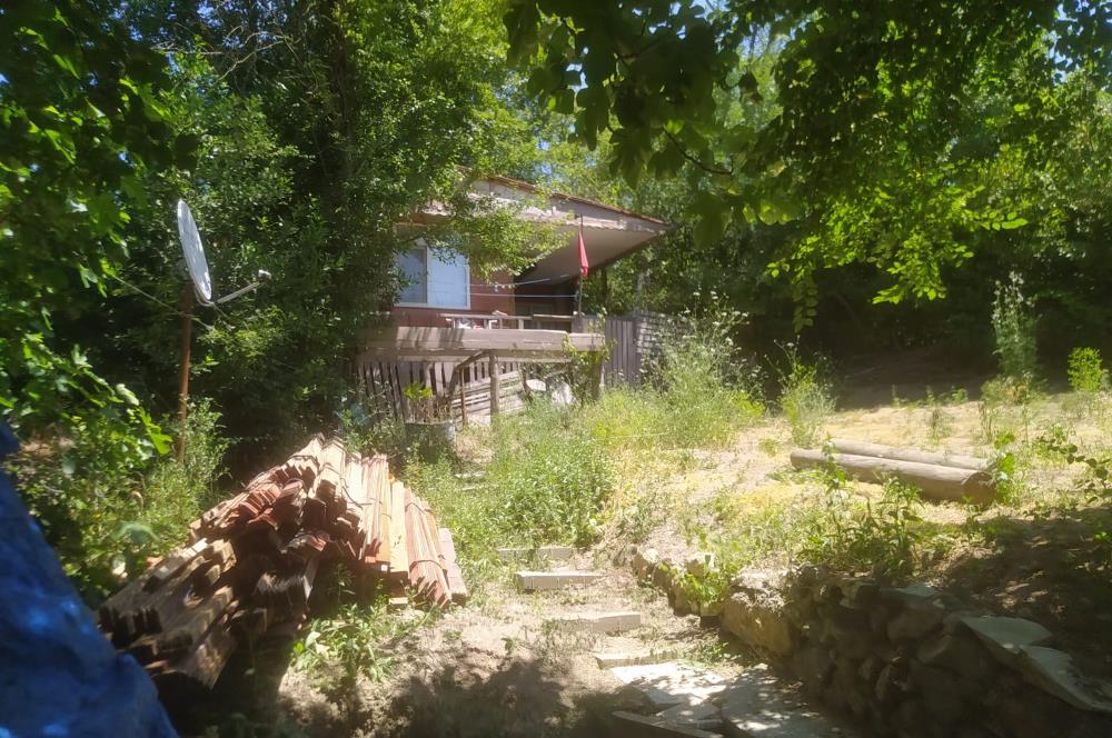 kandıra bucaklı  da bahce