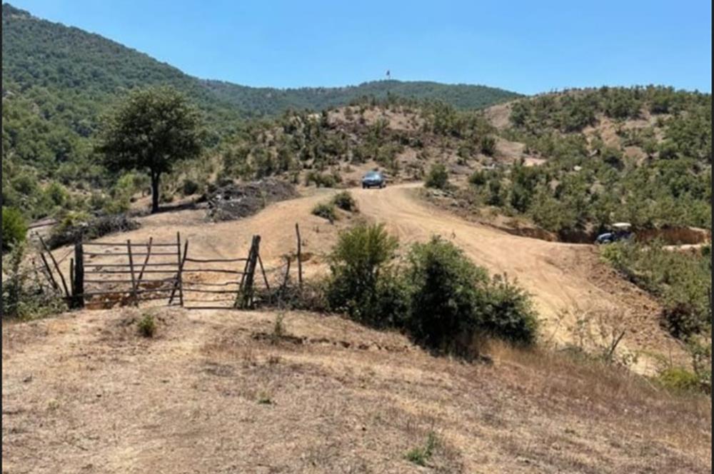 balıkesır ıvrındı tarla