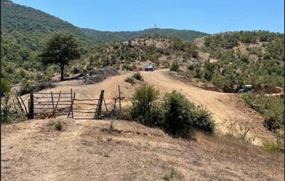 balıkesır ıvrındı tarla