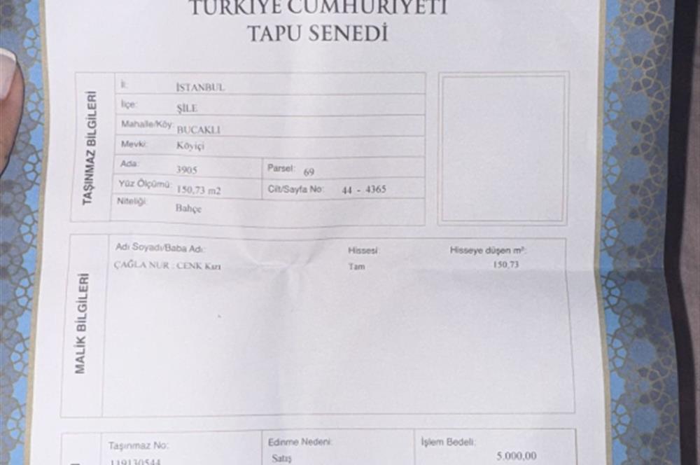 kandıra bucaklı  da bahce