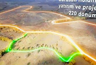 C21 NOVO DAN ÇANAKKALE MERKEZ DEDELER DE SATILIK TARLA