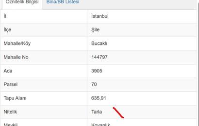 kandıra bucaklı  da bahce
