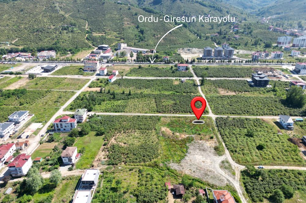 Ordu Gülyalı Turnasuyu'nda Denize Yakın 1070 m² Villa Arsası!
