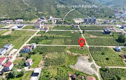 Ordu Gülyalı Turnasuyu'nda Denize Yakın 1070 m² Villa Arsası!