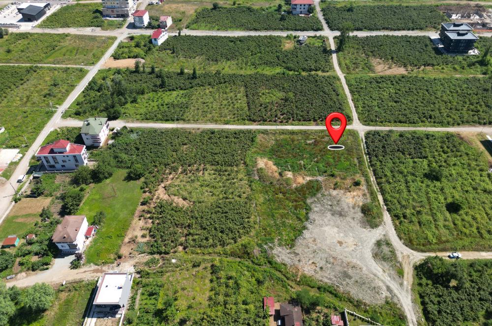 Ordu Gülyalı Turnasuyu'nda Denize Yakın 1070 m² Villa Arsası!