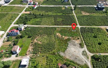 Ordu Gülyalı Turnasuyu'nda Denize Yakın 1070 m² Villa Arsası!