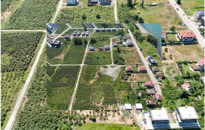 Ordu Gülyalı Turnasuyu'nda Denize Yakın 1070 m² Villa Arsası!