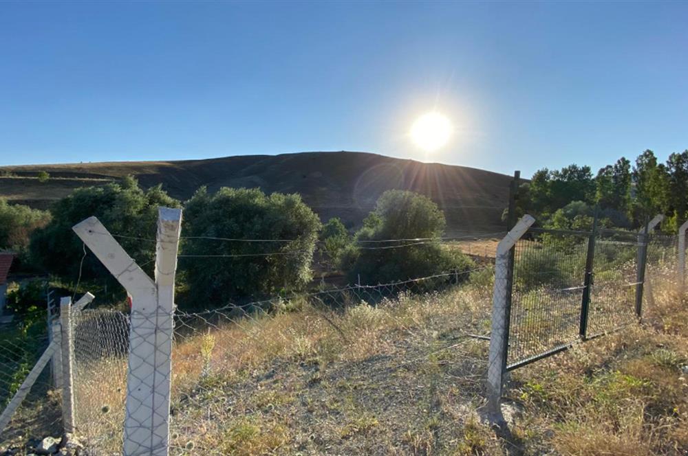 ÇANKAYA TOHUMLAR MAH. ANA YOLA CEPHE SATILIK HİSSELİ 1000M2