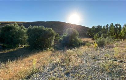 ÇANKAYA TOHUMLAR MAH. ANA YOLA CEPHE SATILIK HİSSELİ 1000M2