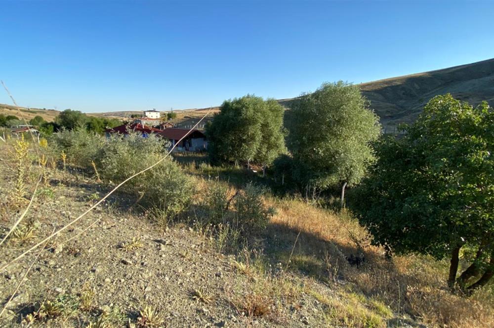 ÇANKAYA TOHUMLAR MAH. ANA YOLA CEPHE SATILIK HİSSELİ 1000M2