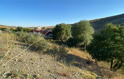 ÇANKAYA TOHUMLAR MAH. ANA YOLA CEPHE SATILIK HİSSELİ 1000M2