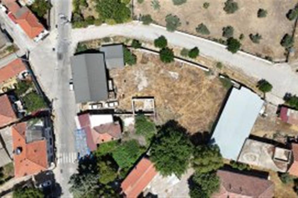 Milas Bafa 1369 m2 Arazi İçinde Kargır Zeytinyağı Fabrikası