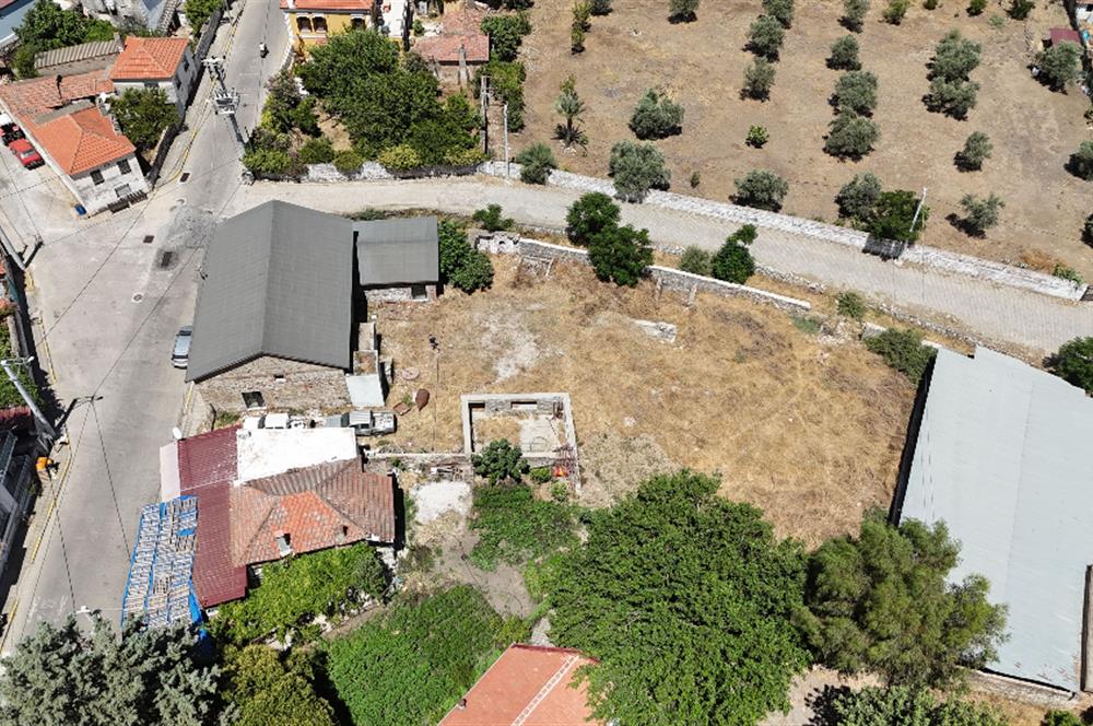 Milas Bafa 1369 m2 Arazi İçinde Kargır Zeytinyağı Fabrikası