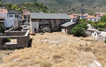 Milas Bafa 1369 m2 Arazi İçinde Kargır Zeytinyağı Fabrikası