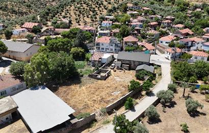 Milas Bafa 1369 m2 Arazi İçinde Kargır Zeytinyağı Fabrikası