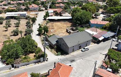 Milas Bafa 1369 m2 Arazi İçinde Kargır Zeytinyağı Fabrikası