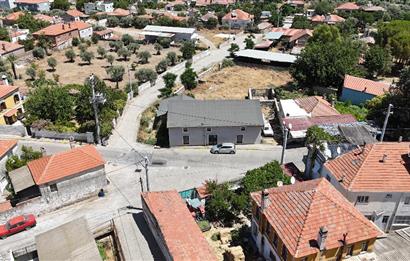 Milas Bafa 1369 m2 Arazi İçinde Kargır Zeytinyağı Fabrikası