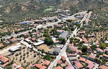 Milas Bafa 1369 m2 Arazi İçinde Kargır Zeytinyağı Fabrikası