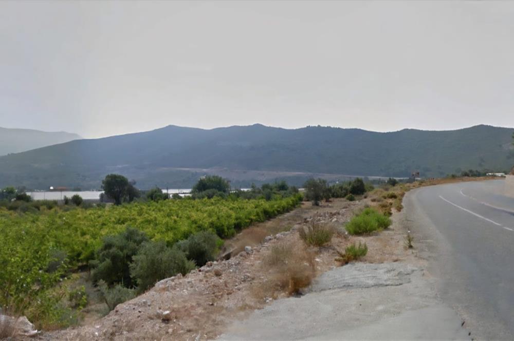 Kaş Yeşilköyde Yatırımlık Tarla Hissesi! 2/5 Hisseli Doğa ile