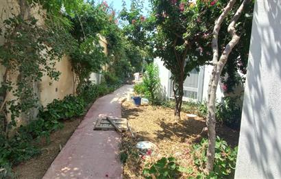 Yalıkavak Geriş yaz donemi 3,5 ay kiralık mustakil, havuzlu dubleks