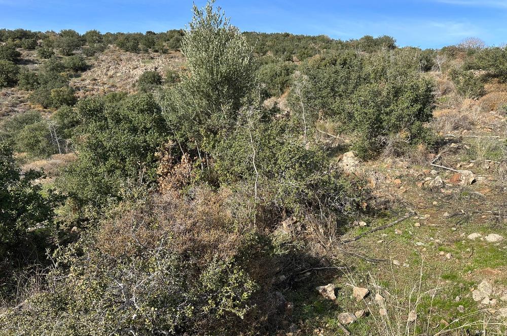 Bodrum İslamhaneleri kat irtifaklı tapu devirli satılık arsa