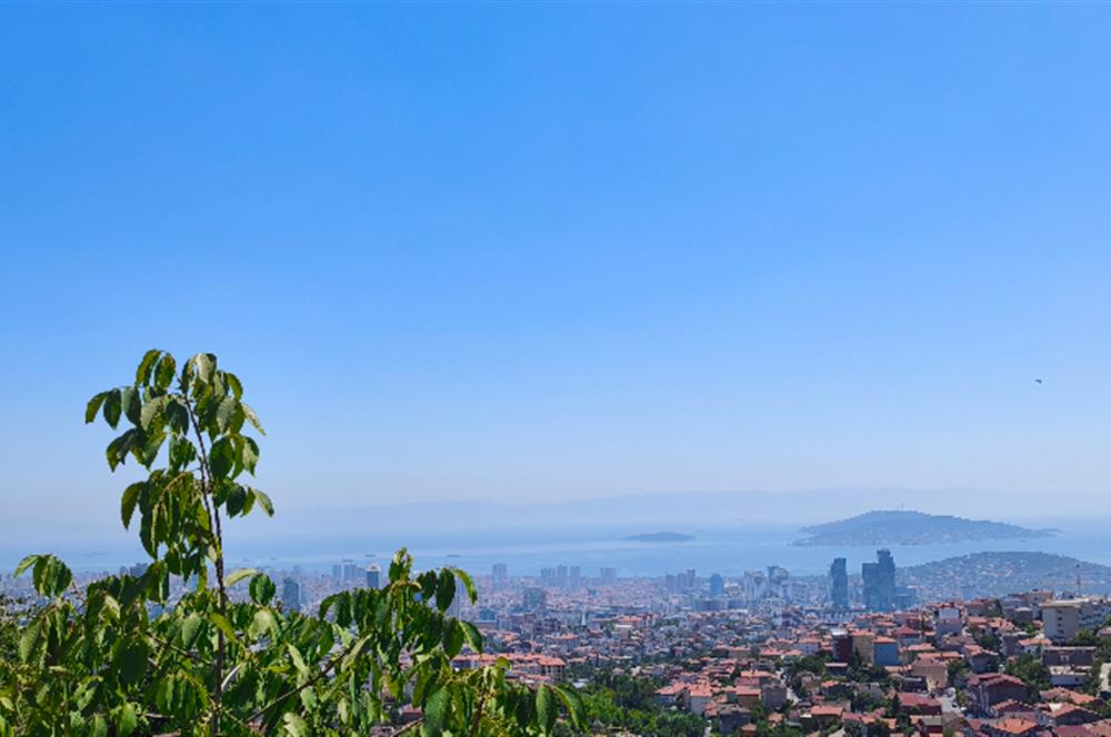Maltepe Gülsuyu'nda 3+1 Müstakil Kiralık Ev
