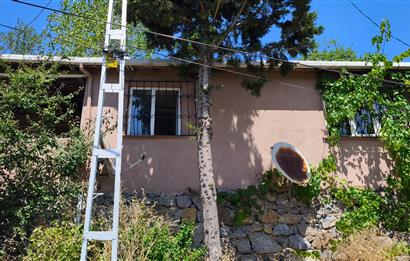 Maltepe Gülsuyu'nda 3+1 Müstakil Kiralık Ev