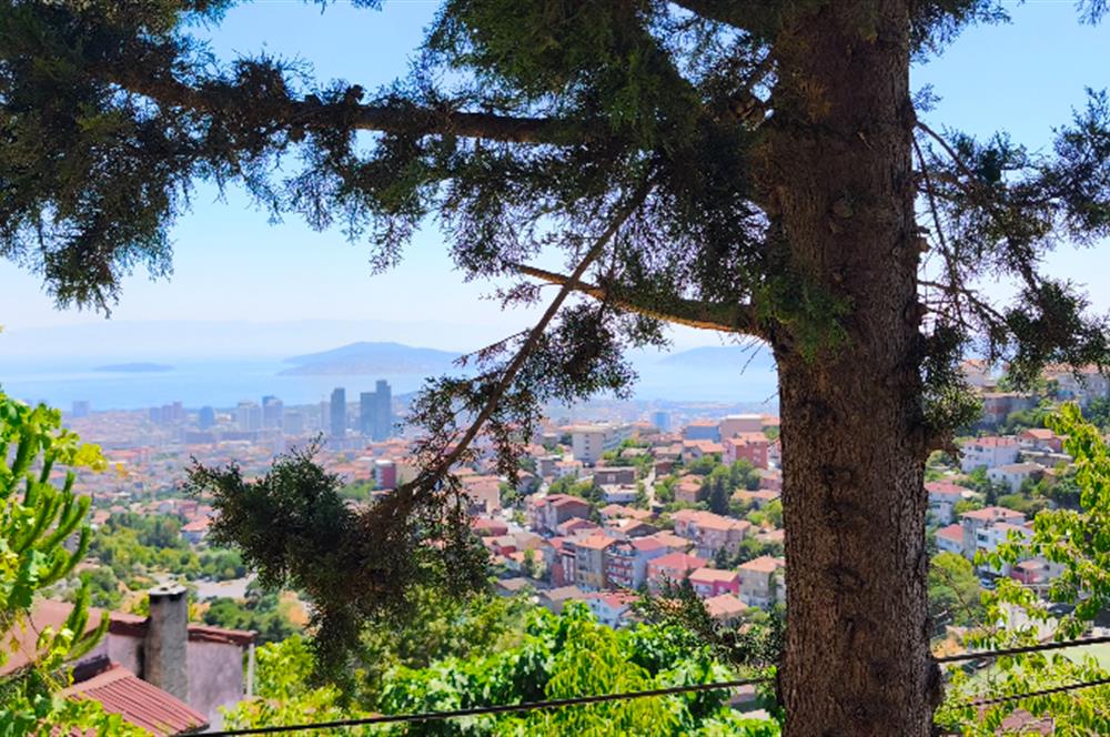 Maltepe Gülsuyu'nda 3+1 Müstakil Kiralık Ev