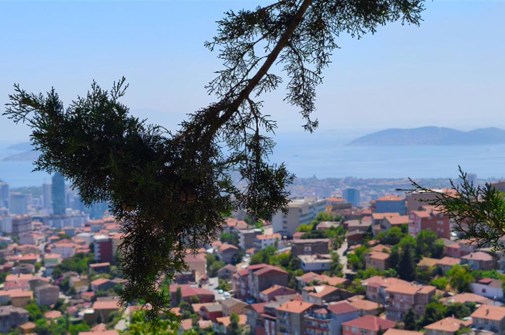 Maltepe Gülsuyu'nda 3+1 Müstakil Kiralık Ev