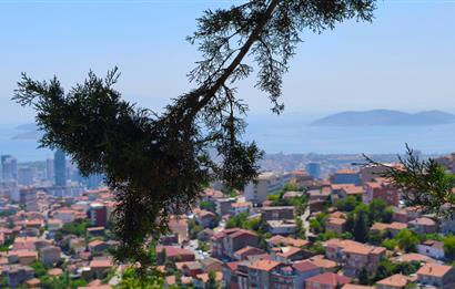 Maltepe Gülsuyu'nda 3+1 Müstakil Kiralık Ev