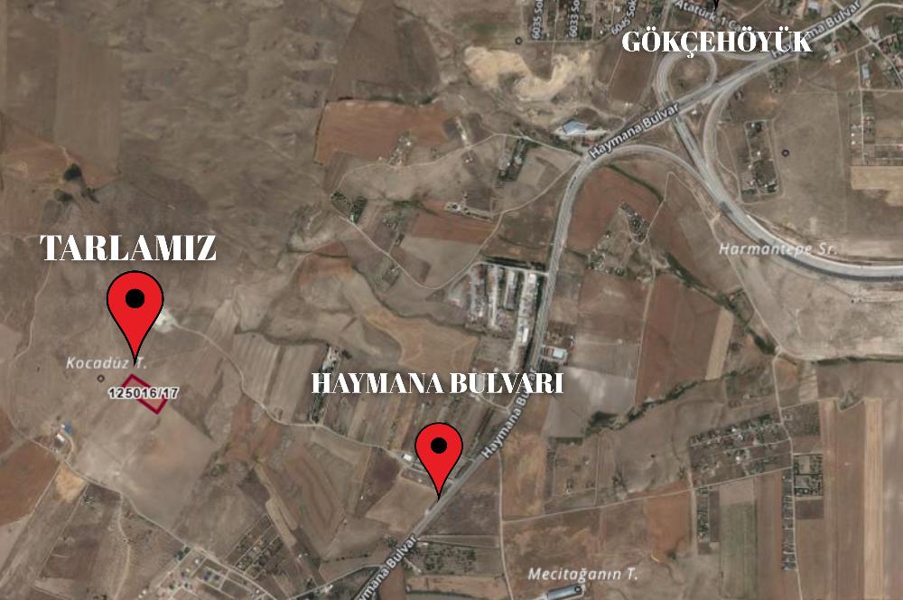GÖKÇEHÖYÜK'TE YATIRIMLIK 6.928 m² SATILIK TARLA
