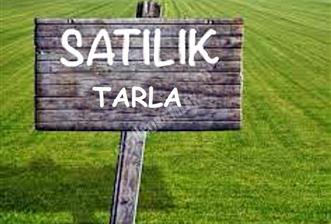 Gümüşdere Merkezde Yapı Kayıt Belgeli Konteynerlı Arsa