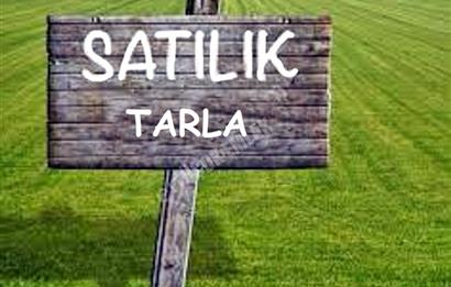 Gümüşdere Merkezde Yapı Kayıt Belgeli Konteynerlı Arsa