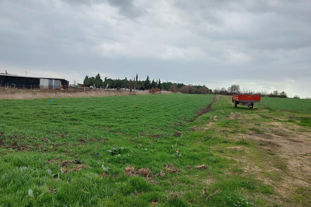 ÇANAKKALE KARACAALİ KÖYÜNDE İMARLI SATILIK ARSA
