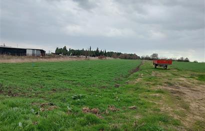 ÇANAKKALE KARACAALİ KÖYÜNDE İMARLI SATILIK ARSA