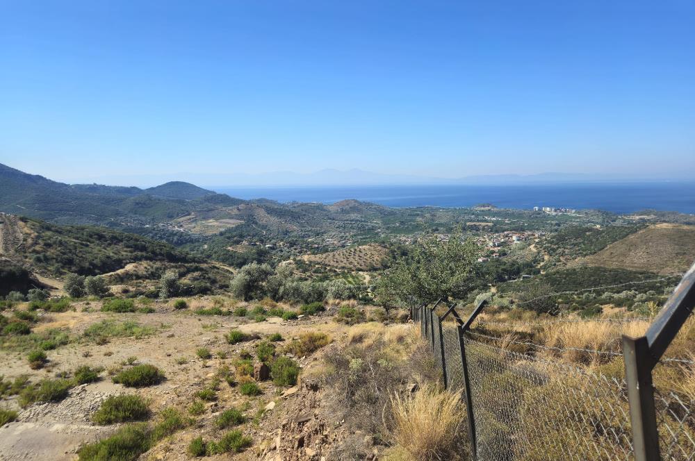 İzmir Özdere Cumhuriyet'te Full Deniz Manzaralı Satılık Tarla.