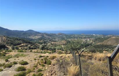 İzmir Özdere Cumhuriyet'te Full Deniz Manzaralı Satılık Tarla.