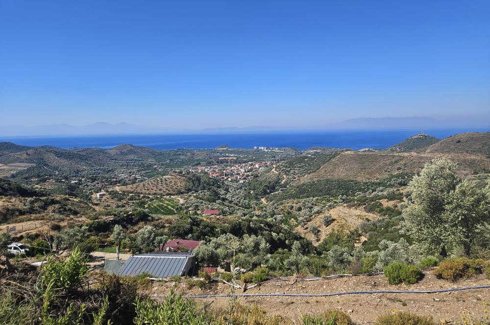İzmir Özdere Cumhuriyet'te Full Deniz Manzaralı Satılık Tarla.