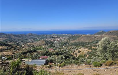 İzmir Özdere Cumhuriyet'te Full Deniz Manzaralı Satılık Tarla.