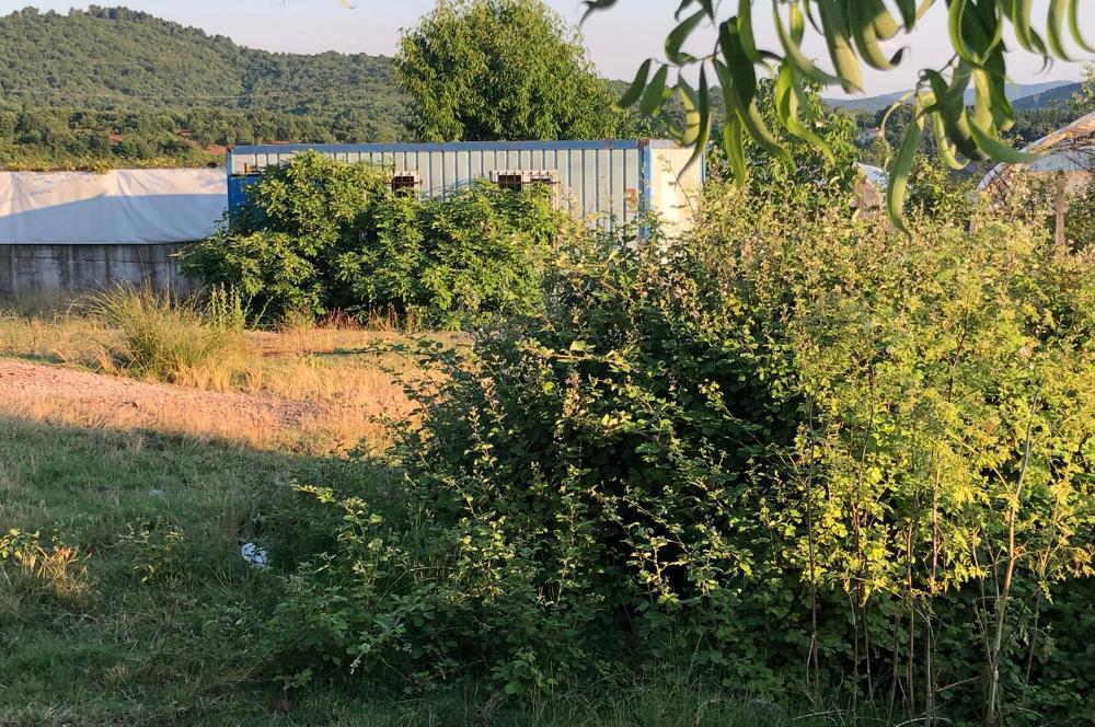 PENDİK GÖÇBEYLİĞİ KÖYÜNDE 3500 M2 KİRALIK ARSA