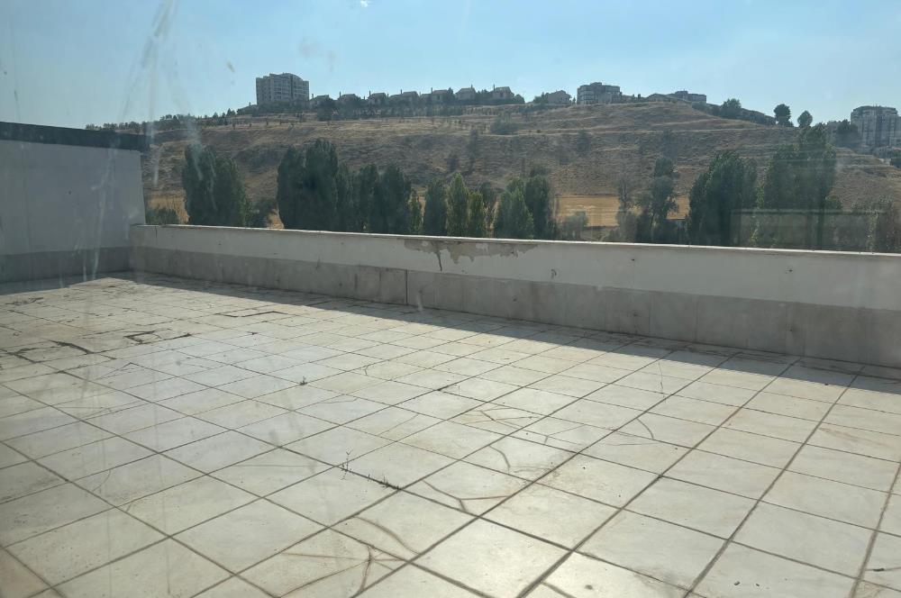 Alacaatlı'da cadde üzeri 200m2 kapalı + 150m2 teras kiralık iş yeri 